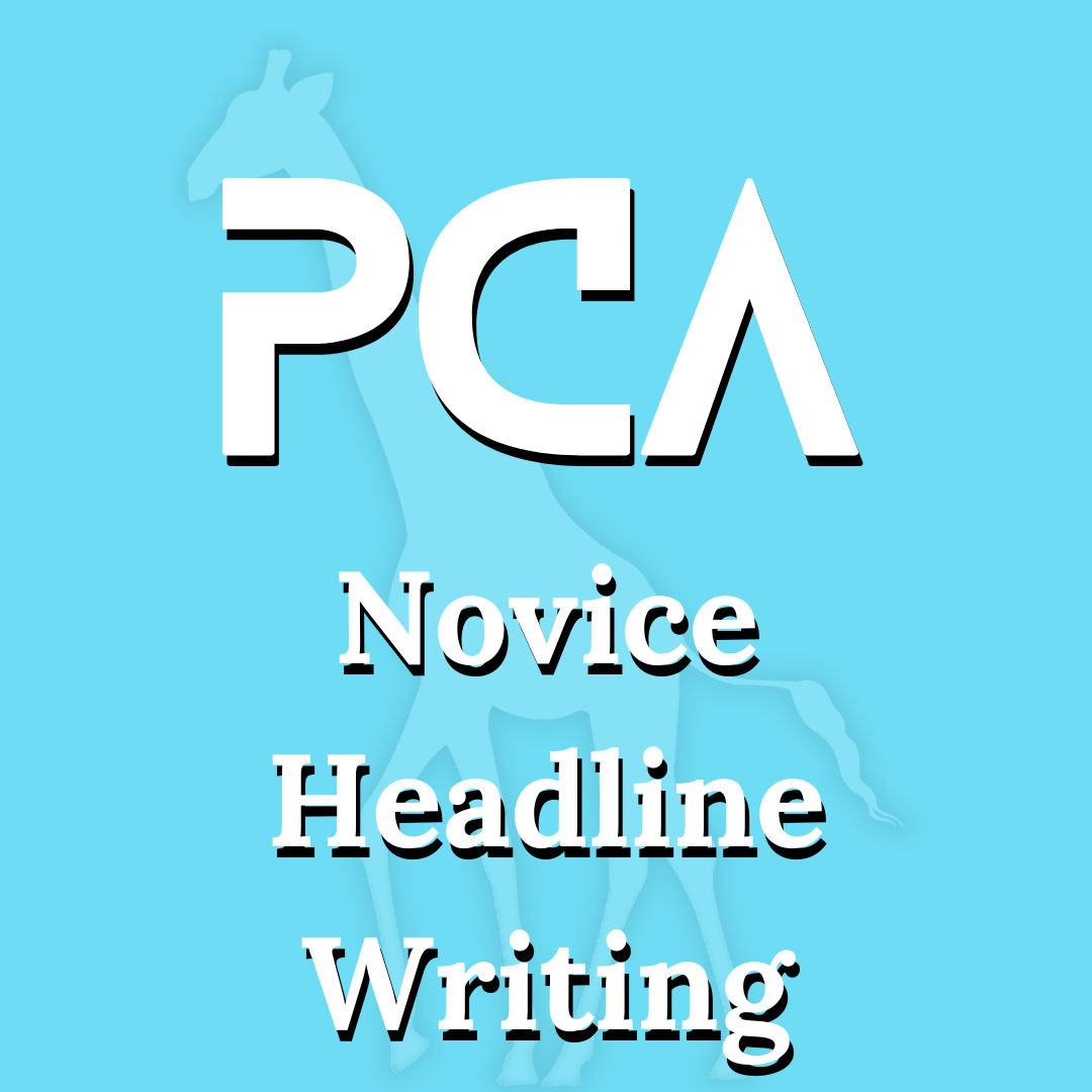 Novice Headline Writing